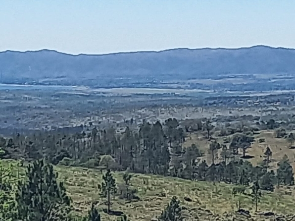 Vendoo!! 5,5 hectareas, ideal inversores!! Villa Berna, zona loma del Tigre